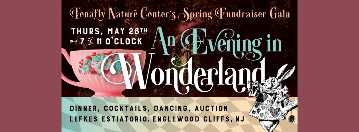 An Evening in Wonderland